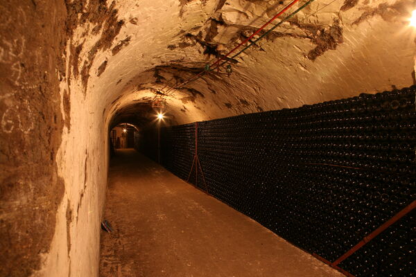 Champagne Cellar 2.JPG