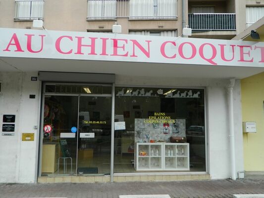 au chien coquet.JPG