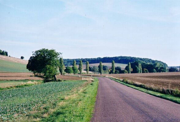 Pitoite - -la Bouillant.jpg
