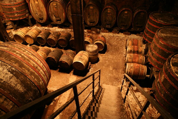 Bouzy Rouge Cellar 5.JPG