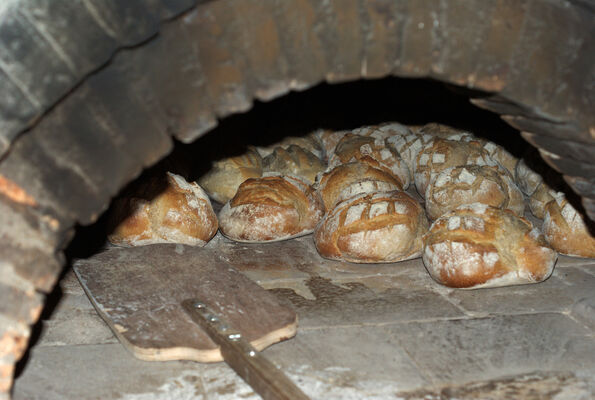 Journée du pain et de la pizza.jpg