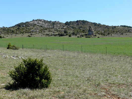 paysage 4.jpg