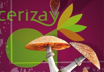 cerizay_s_expose_1380813423.jpg