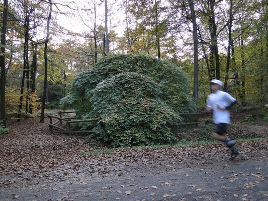 Reims Running Tours (13).jpg