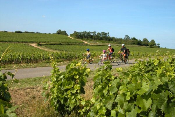 tous en selle sur la Voie des Vignes©BIVB
