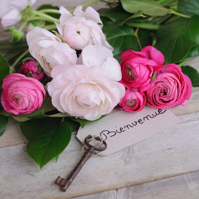© sonia chatelain - Fotolia.jpg