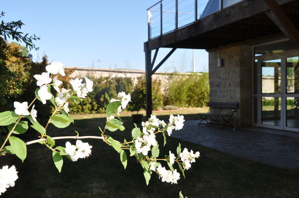 DSC_0072.JPG