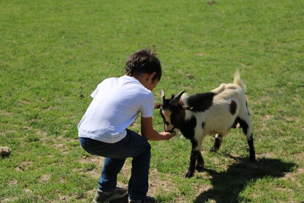Camping Ferme pédagogique de Prunay à seillac