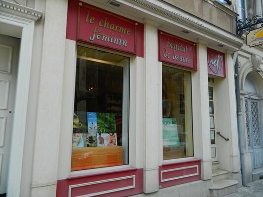 le charme féminin.JPG