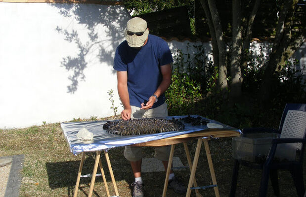 Ré11.JPG