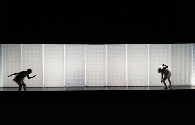 STÉRÉOSCOPIA / VINCENT DUPONT // © MARC DOMAGE.jpg