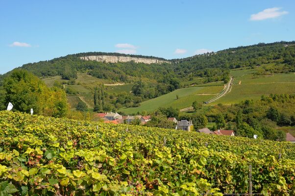 Vignoble des Hautes de Beaune & Baubigny©Image&associés