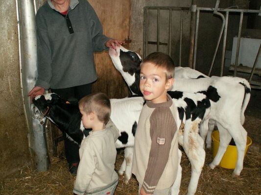 Ferme de la Marque - Crédit photo CDT Aube en Champagne .jpg