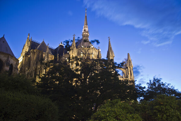 Cathédrale Notre-Dame de Reims © Carmen Moya (4).JPG