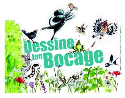 visuel-dessine-ton-bocage-sit.jpg