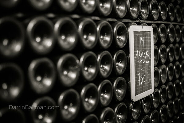 Art-In-The-Harvest-Darrin-Ballman-Commercial-Photography-8854_WEB_LOGO.JPG