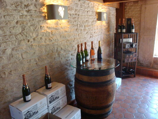 La France Secrete a velo - Champagne Nicolo (11).JPG
