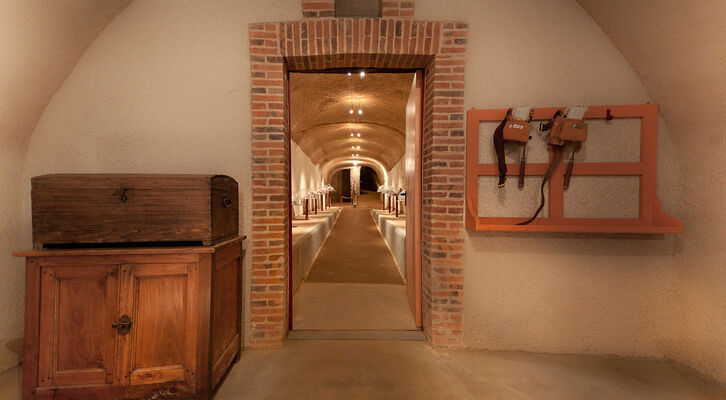 Coquillages Cave (2 sur 30).jpg