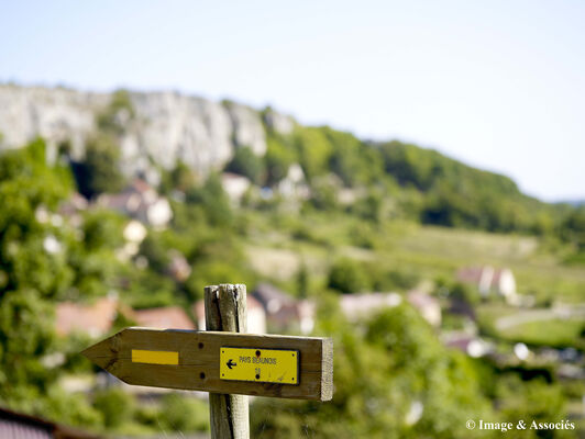 Orches©Image&Associés