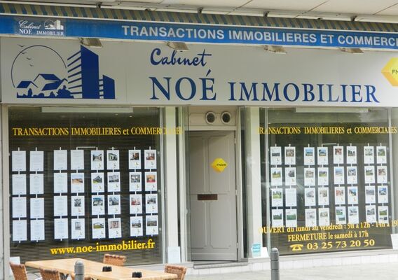 Noé immobilier.jpg