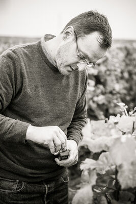 Art-In-The-Harvest-Darrin-Ballman-Commercial-Photography-8541_WEB_LOGO.jpg