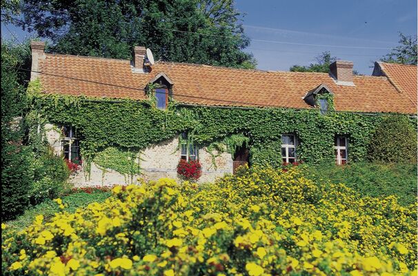 Cences_Sebourg_Sebourquiaux.jpg