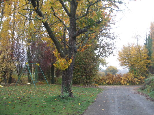 annonces photos du gîte 012.JPG