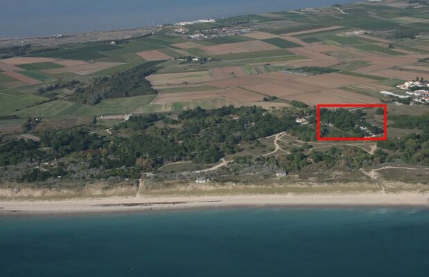 Dunes4.JPG
