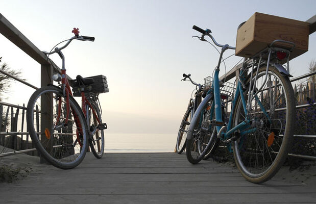 Cycles-N-Ile-de-Ré.jpg