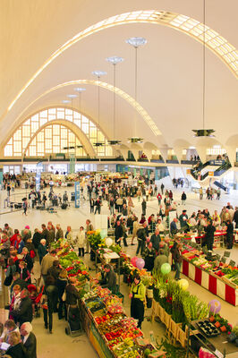 Les Halles du Boulingrin © Carmen Moya (3).jpg
