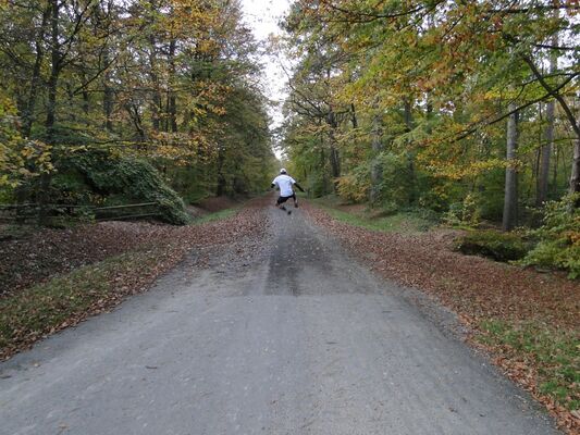 Reims Running Tours (12).jpg