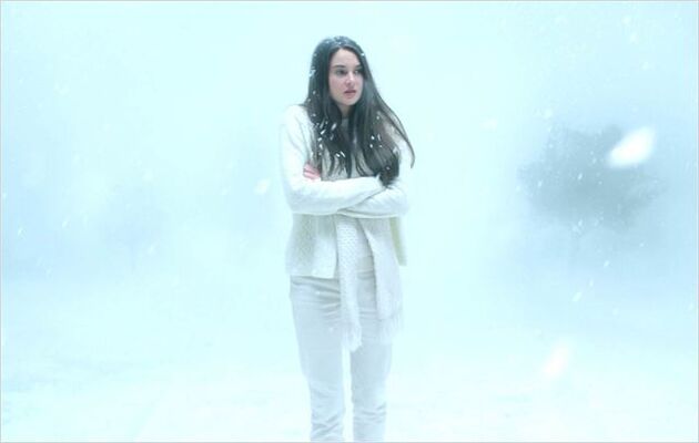 Image2_White_Bird.jpg