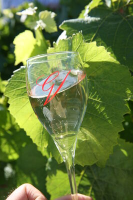 Champagne Glass.JPG