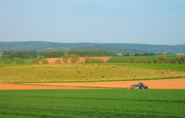 Chambre Agri Aube.jpg