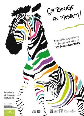 AfficheMuseumA3 (1).jpg