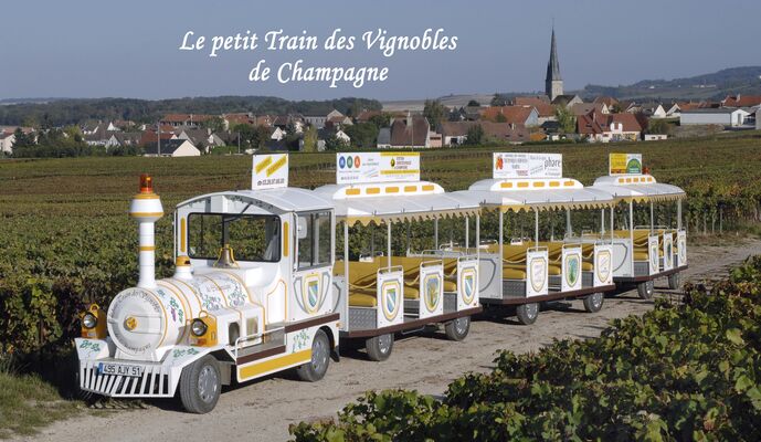 Le petit Train des Vignobles de Champagne.jpg