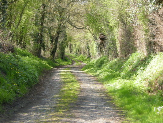 13. le chemin vers la passerelle d'Auzay.JPG
