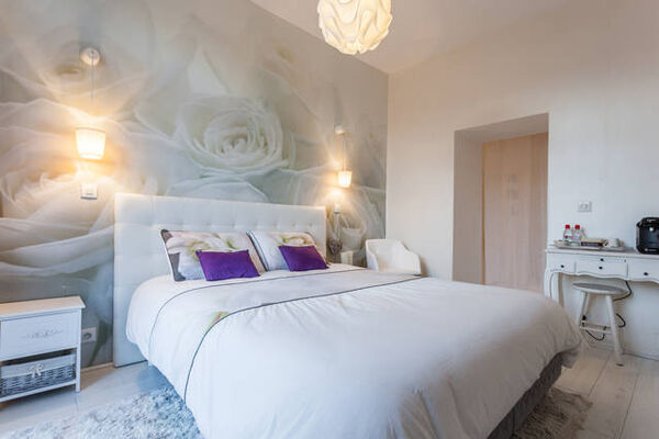 chambre d'h+¦te du bas vue sdb.jpg