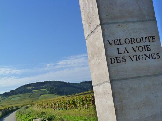 Porte de la Voie des Vignes©L Dallerey