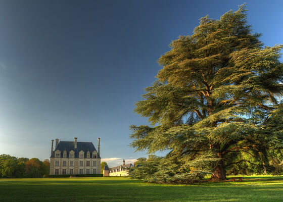 Parc & Château de Beauregard à Cellettes