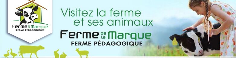 Ferme de la Marque - Champ sur Barse.jpg