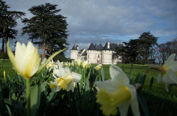 Domaine Régional de Chaumont-sur-Loire en Val de Loire