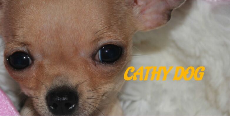 cathydog.jpg
