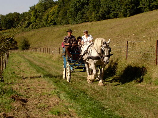 Attelage campagne.jpg