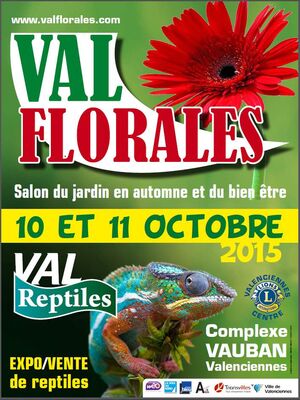 val-florales-2015--valenciennes-tourisme.jpg
