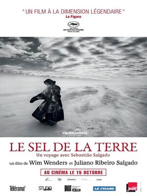 LE-SEL-DE-LA-MER-ciné-club-valenciennes-tourisme.jpg