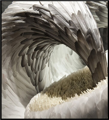 plume concert reims.jpg
