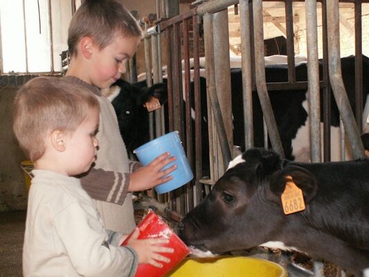 Ferme de la Marque - Crédit photo CDT Aube en Champagne (2).jpg