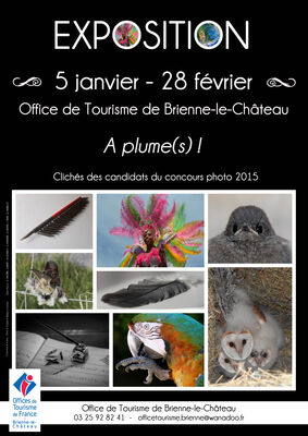 affiche expo 2015 V2 BD.jpg