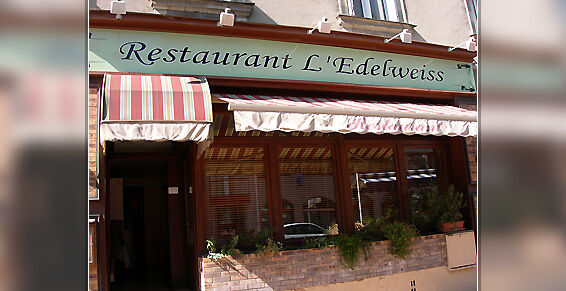 Edelweiss1.jpg